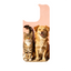 Wild Kingdom - Dog and Cat