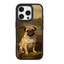 Noble Pug Portrait Black phone case for iPhone 15