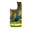 Wild Kingdom - Peacock
