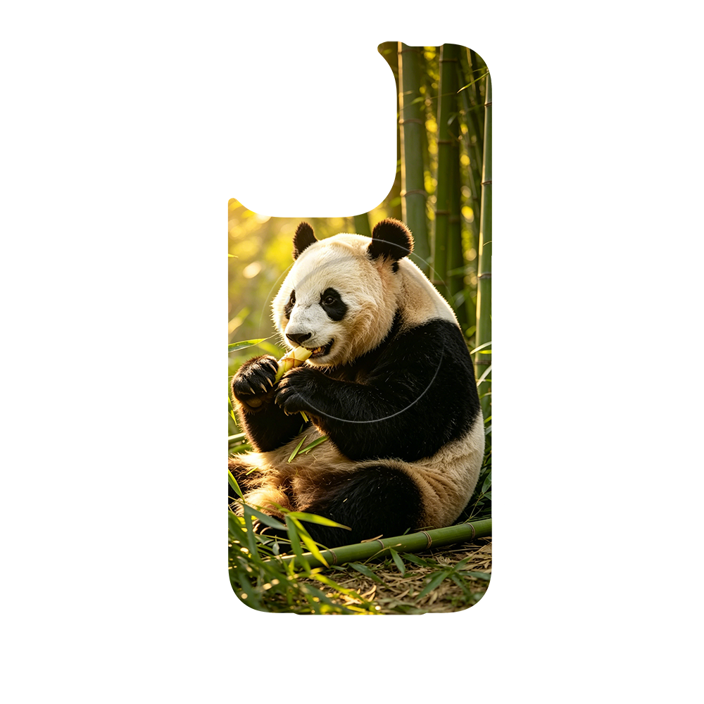 Wild Kingdom - Panda Main image