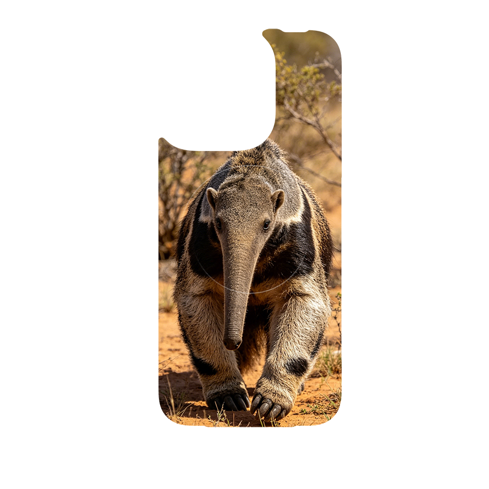 Wild Kingdom - Anteater Main image