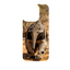 Wild Kingdom - Anteater