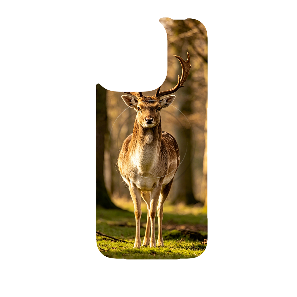 Wild Kingdom - Deer