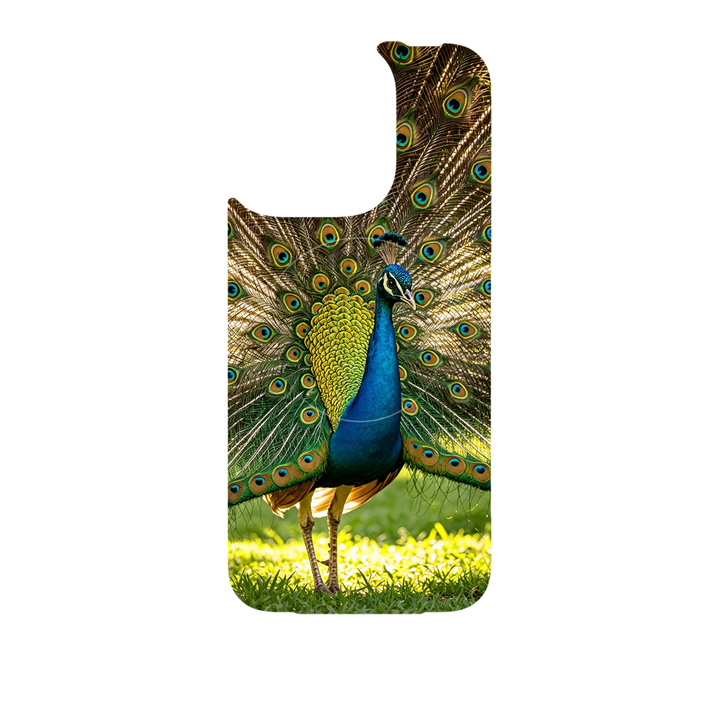 Wild Kingdom - Peacock