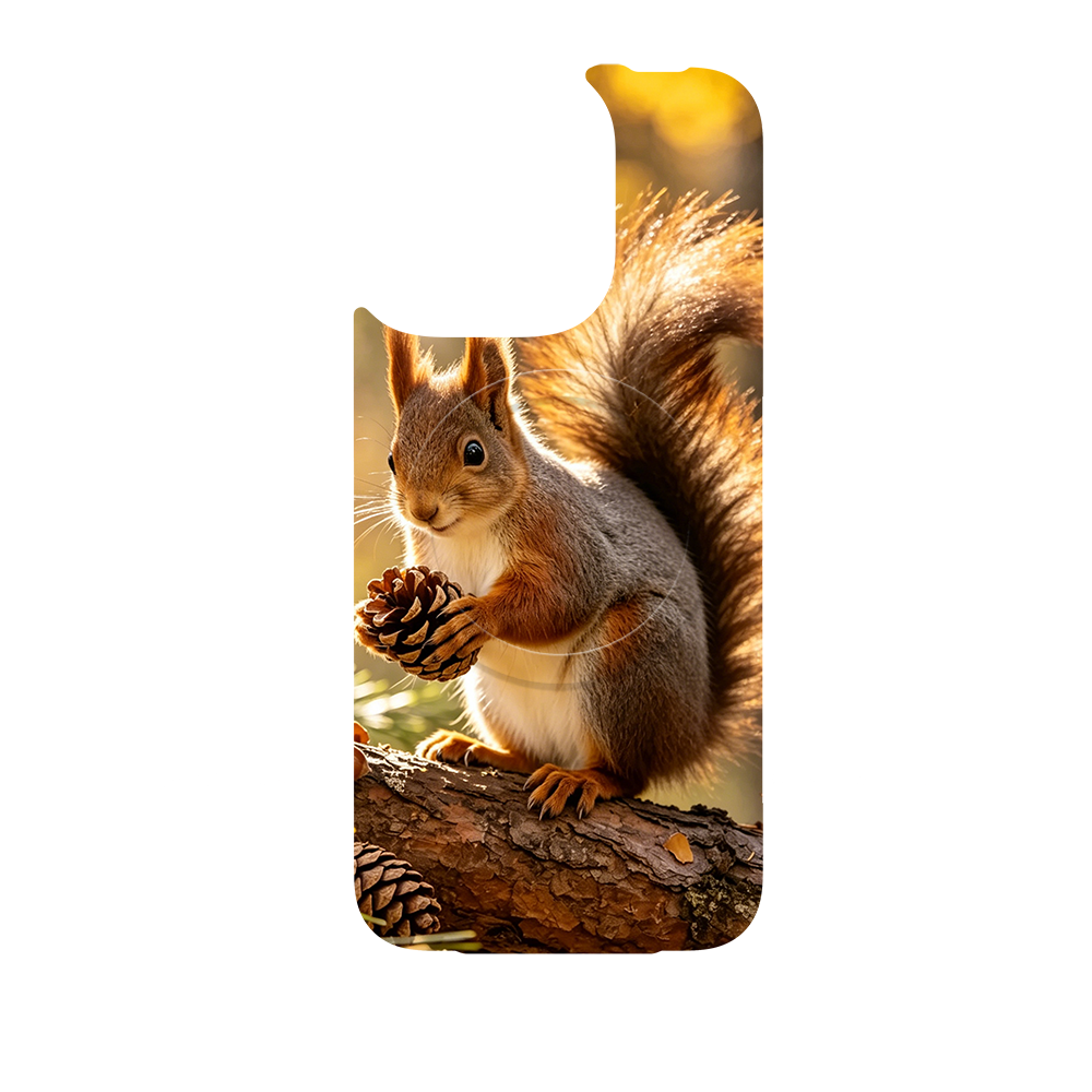 Wild Kingdom - Squirrel Main image