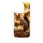 Wild Kingdom - Squirrel